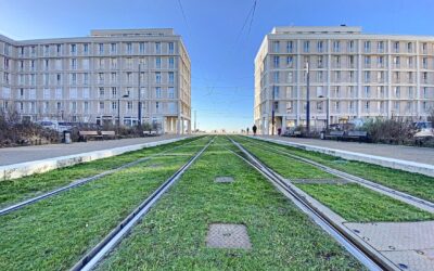 L’avenue Foch, axe majeur du Havre