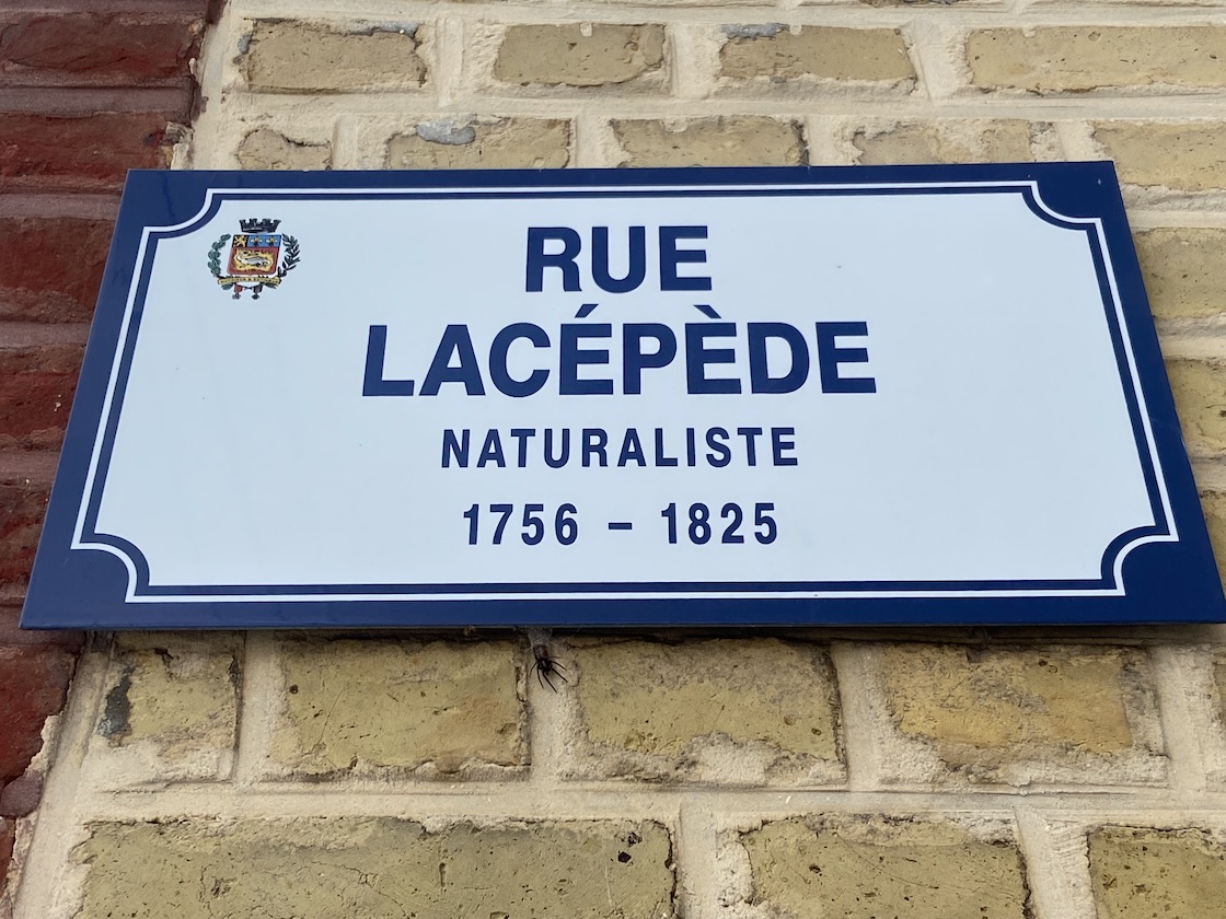 Panneau Rue Lacepede Le Havre